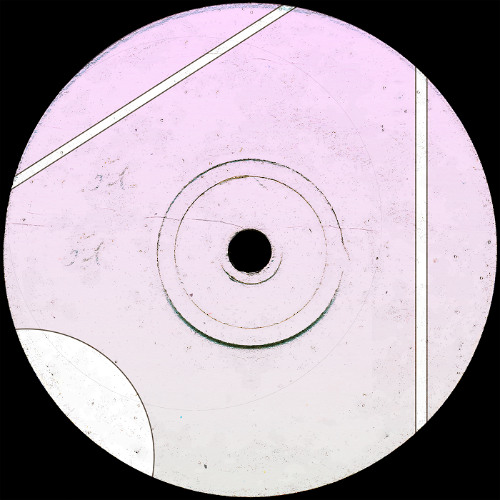 PESAD1 - TERMINAR