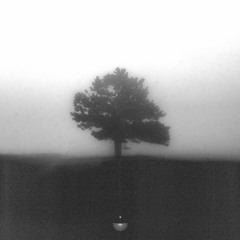 Turtle - Across All Planes Of Existence