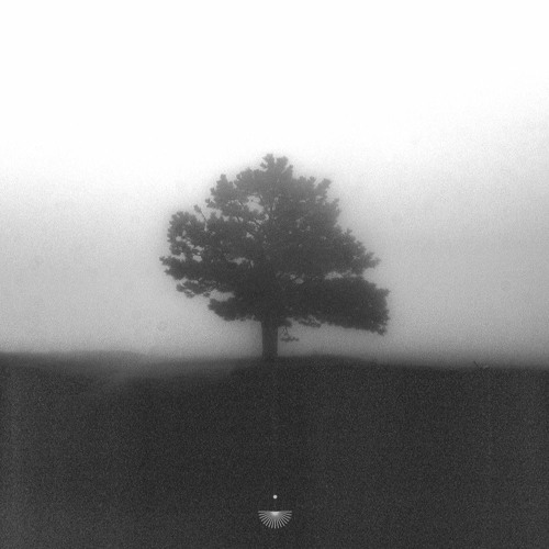 Turtle - Across All Planes Of Existence