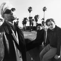 The Presidents of the USA - Lump (re disco ver ''She's in My Head'' Sub-Sonic Speeds Mix) back to 95
