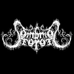 Sombres Forêts - La Nuit