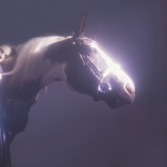goodbye horses (cover)
