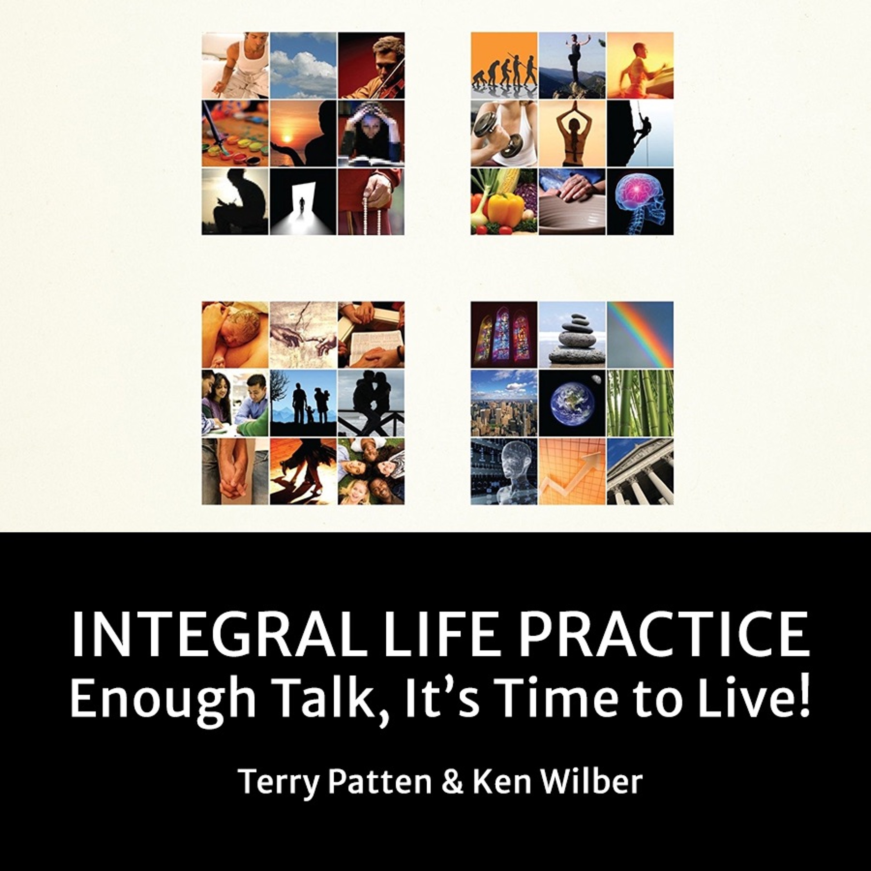 cover of episode Integral Life Practice – Part II: The Shadow Module