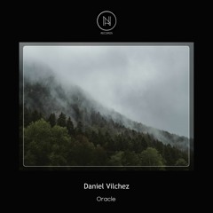 PREMIERE : Daniel Vilchez - Orion (Original Mix) [Neele Records]