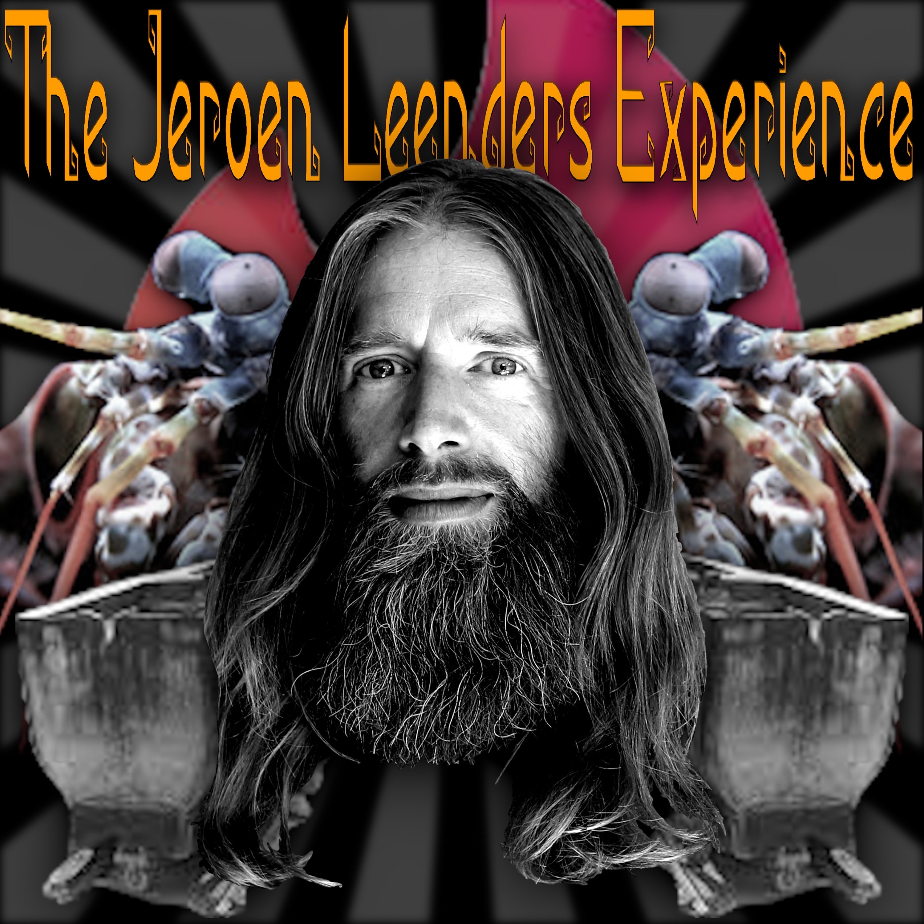 Jeroen Leenders Experience
