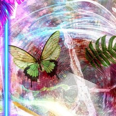 Spirit Walk
