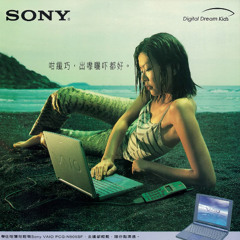 P.T.S.O. + feinnix  @gl00mberg