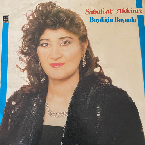 Baydiğin Başında