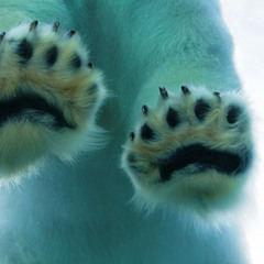 IM SO FUCKING EXCITED I MISSED U SO MUCH #jc