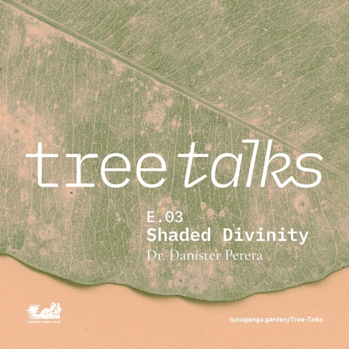 Tree Talks: Shaded Divinity