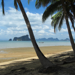 Ambient 90s selection