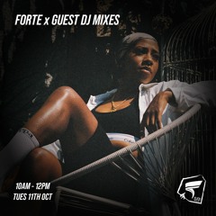 FORTE GUEST MIXES- Feat 2ATEFOUR & DJ SWILL on Flex Fm 101.4