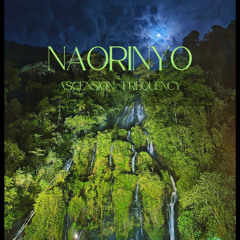 Naorinyo - Infinity Flow (Original Mix)