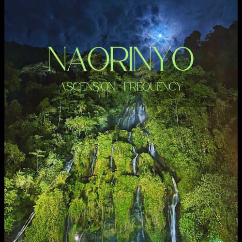 Naorinyo - Infinity Flow (Original Mix)
