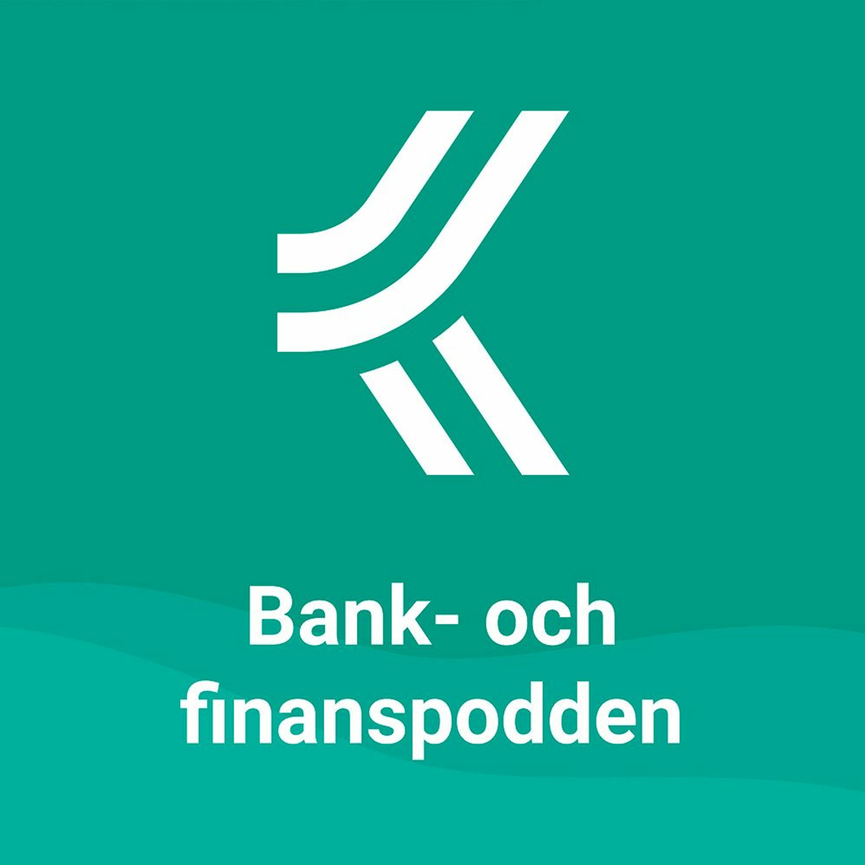 Avs 13: Rätt att få ett bankkonto