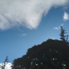 If Not Yours (Chelsea Cutler short acapella cover)