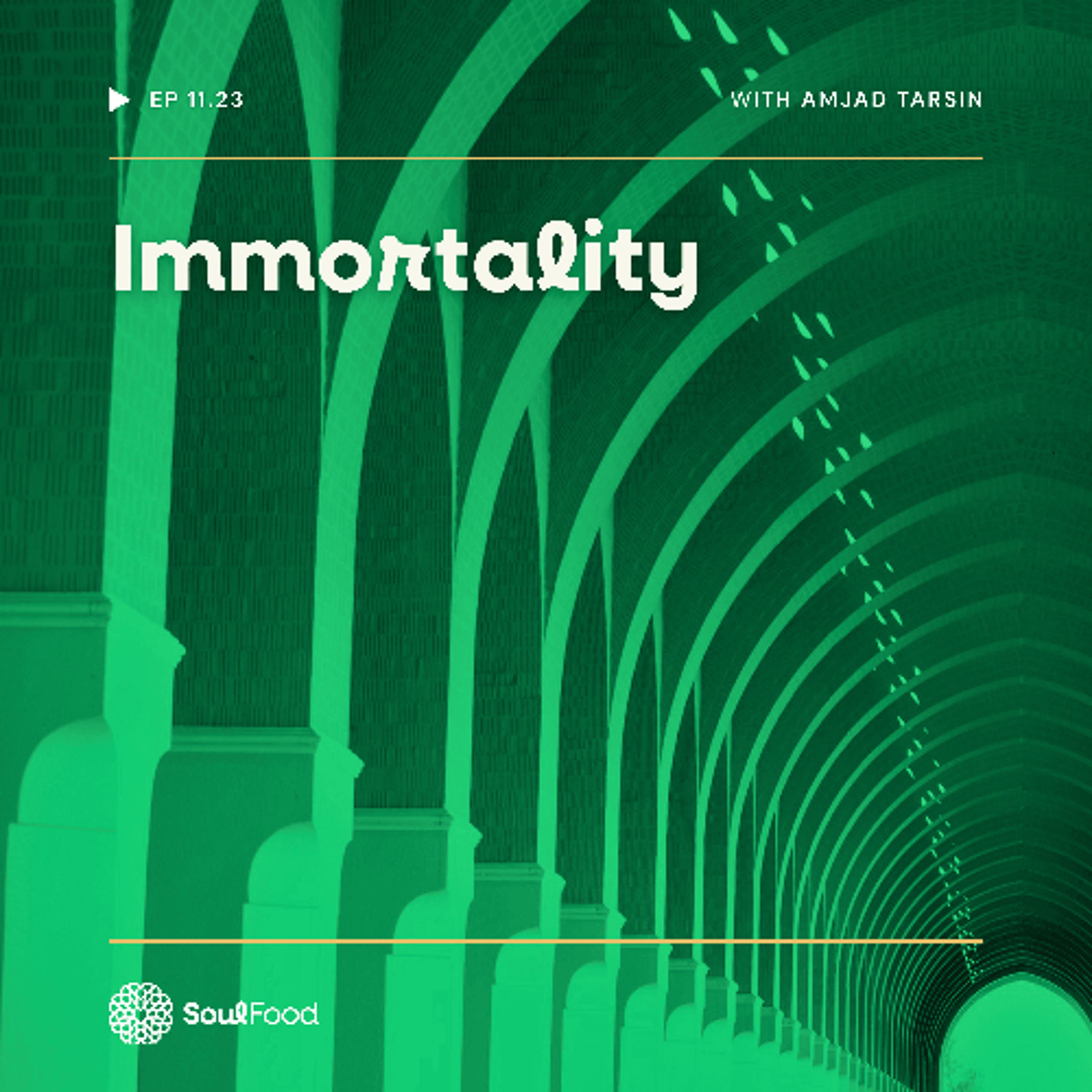 Episode 11.23 - Immortality