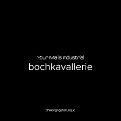 YMII - bochkavallerie