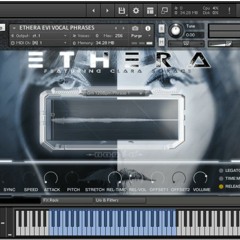 ETHERA EVI Demo 1