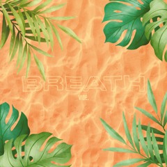 VIDE - BREATH