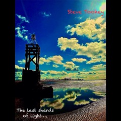 The Last Shards of light