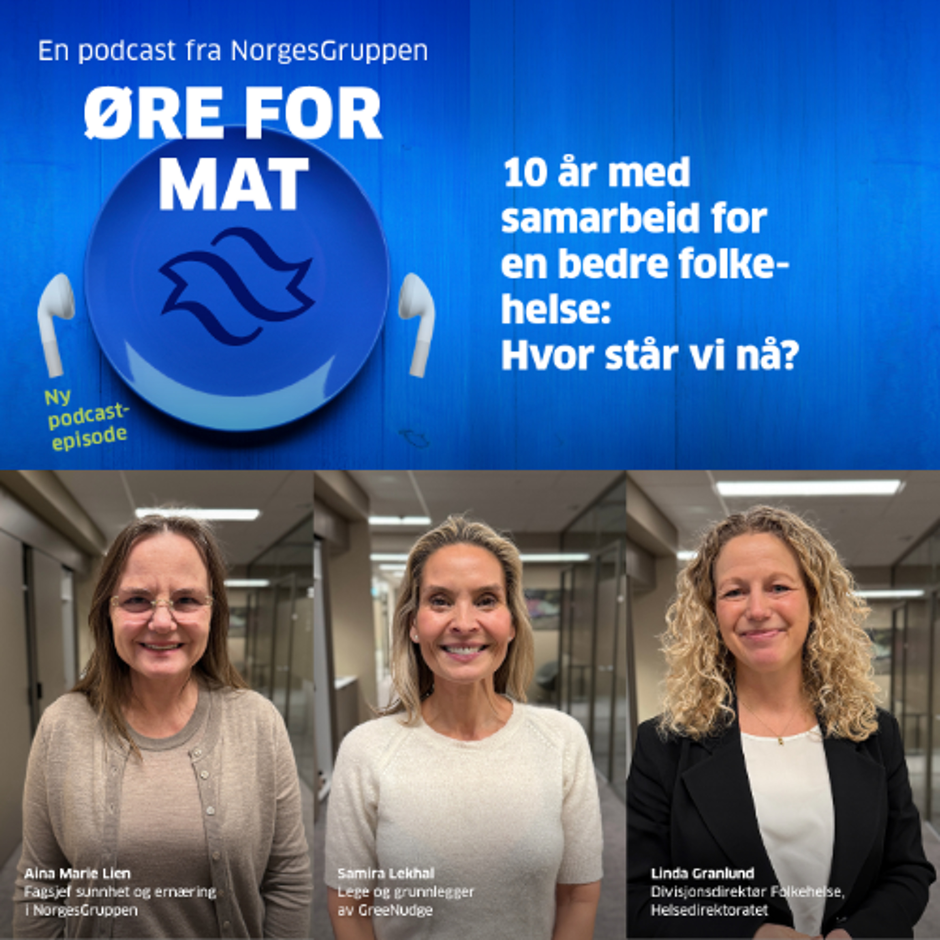 Episode 86: 10 år med samarbeid for en bedre folkehelse: Hvor står vi nå? episode artwork