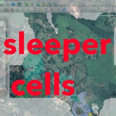Sleeper Cells #2 Hardbean + Breadsteppas