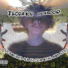 backdoor (prod. lixo x flora)