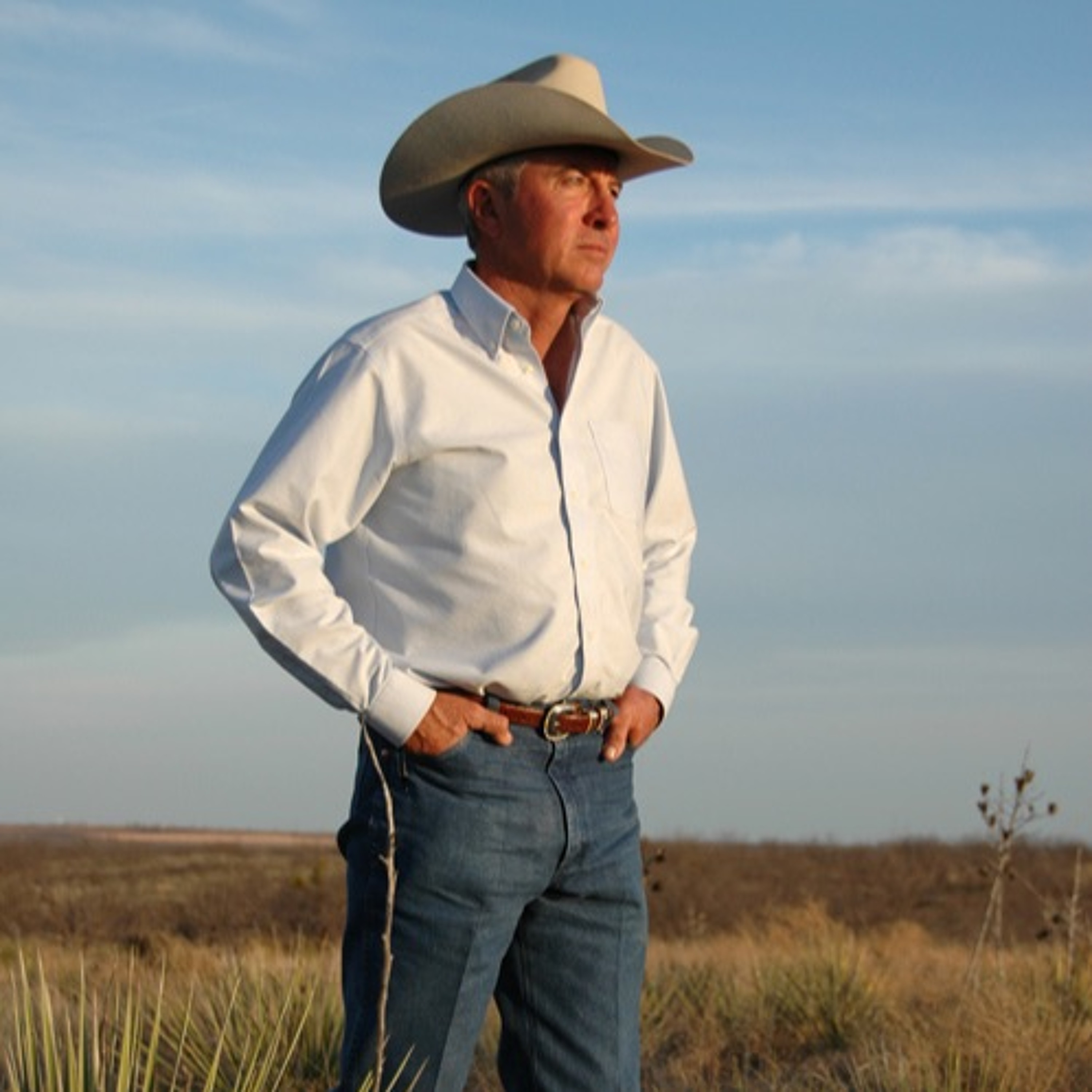 Dr. Dale on Quail