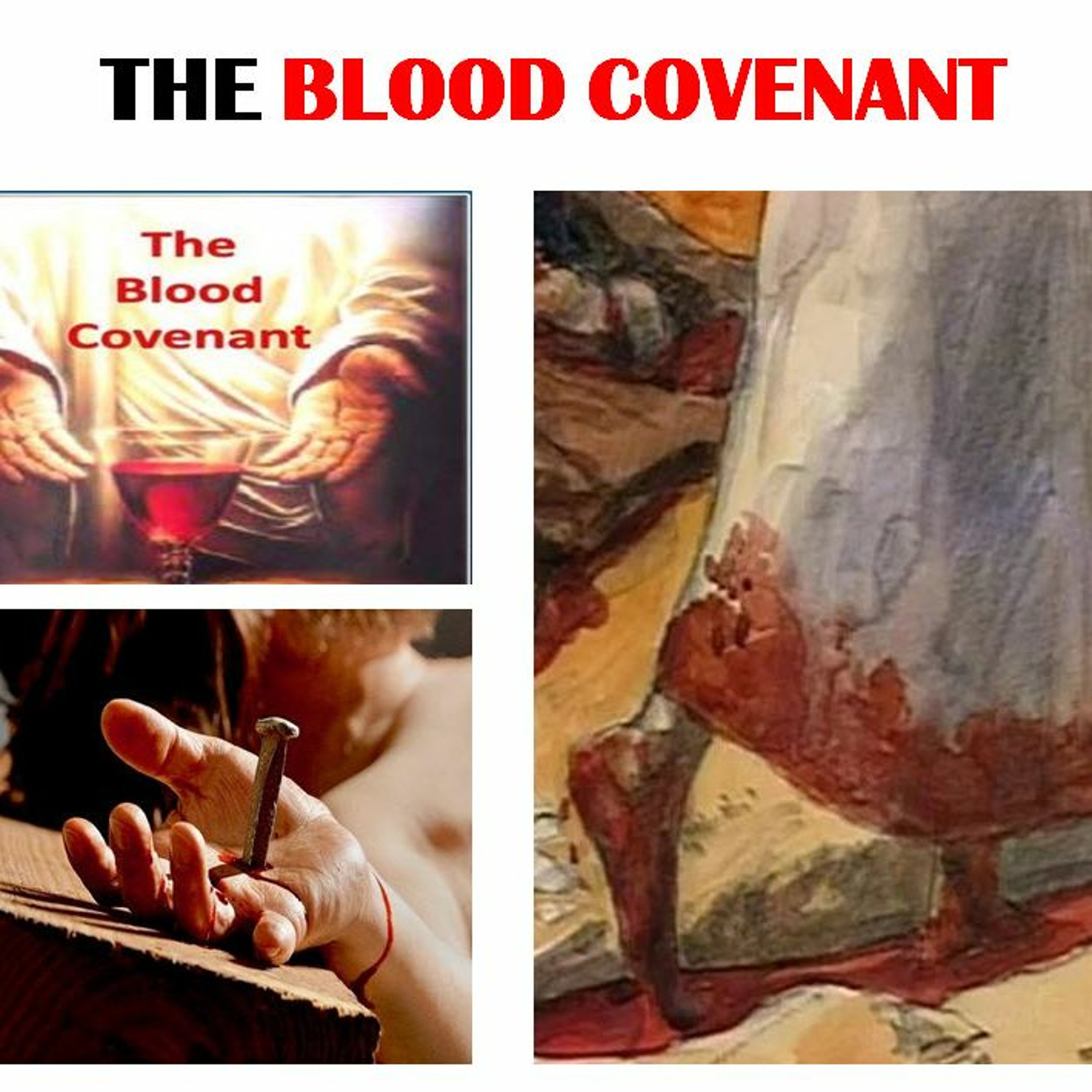 Blood Covenant Pt 6 ~ The Blood Covenant at Mt Sinai Pt 2