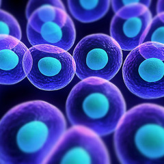 cellular