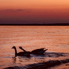 Can you be by my side? (Prod. Pieper Beats)