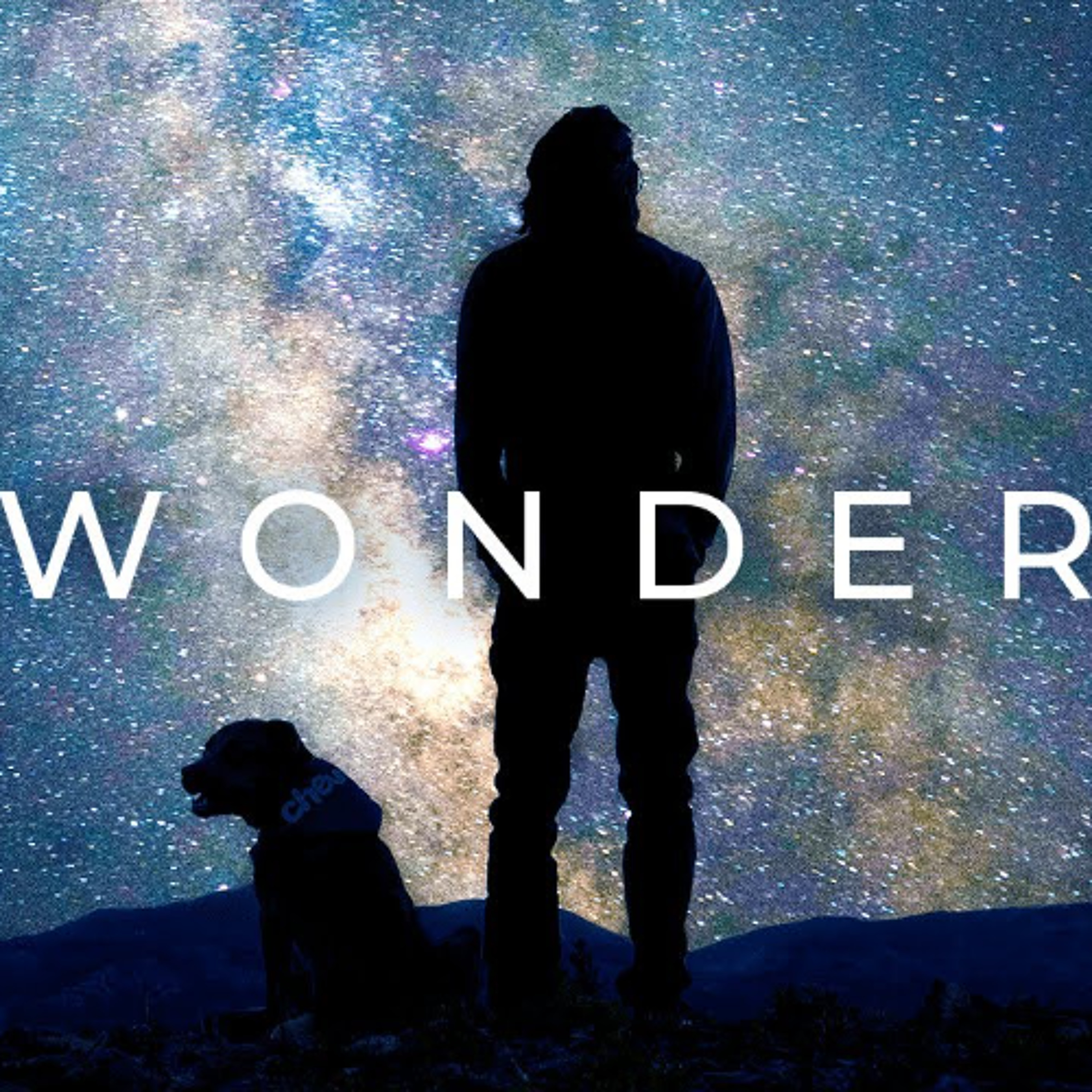 WONDER - Alan Watts Lecture clip