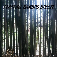 WINDY BAMBOO FOREST 2