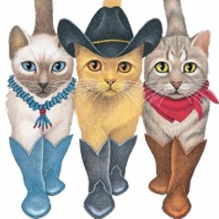 boots and cats, Dj mix..