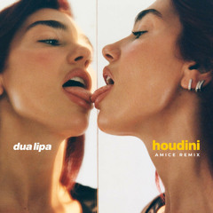 Dua Lipa - Houdini (AMICE Remix)