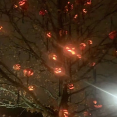 im still waiting for you