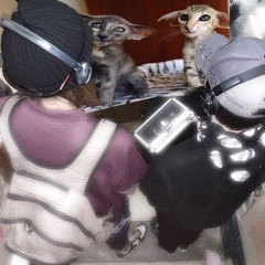 яндексс х твой паук - аддерол фристайл