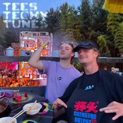 TEES's Techy Tunes 008 | Progressive House / Garage