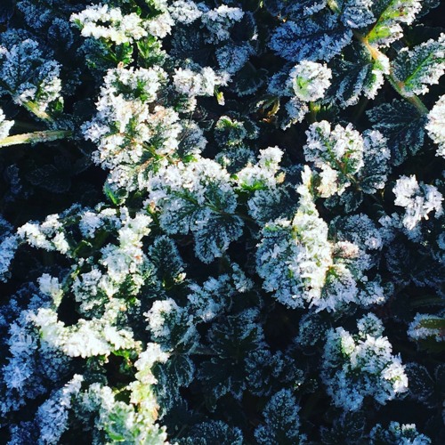 Stream Abysses By Clemaouch Listen Online For Free On SoundCloud