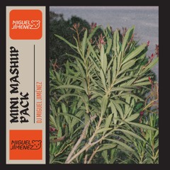 MINI MASHUP PACK - Dj Miguel Jiménez