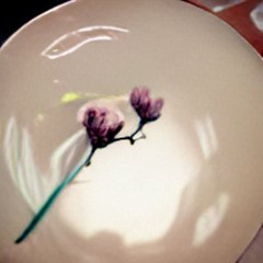 rocking wit FEAT. Doug Beverly(prod.neverforever)