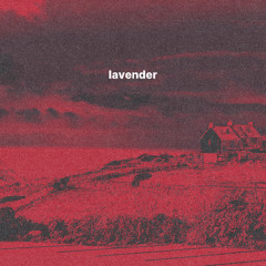 lavender