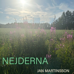 Nejderna