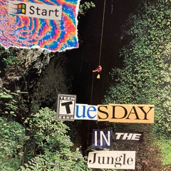 Tuesday In The Jungle (techno/house mix)