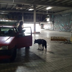 Sowilo Ft. B'Mess Prod. Tartar - Chiens Errants.mp3