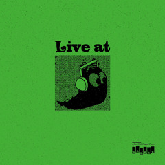 Live at Cucumber & Red Chili Pepper Paste : Laya (Nov 2024)