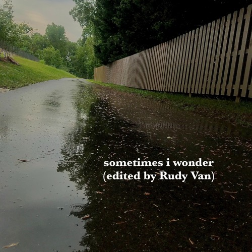 sometimes i wonder (edited by Rudy Van)