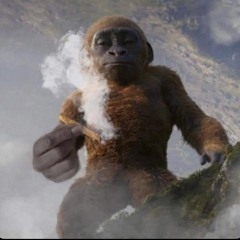 vai tomandooo 🎅🏾🪖🔞🅿️