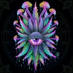 M3TZ - Plasma